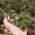 Palmitos-Park---Maspalomas---Gran-Canaria-2