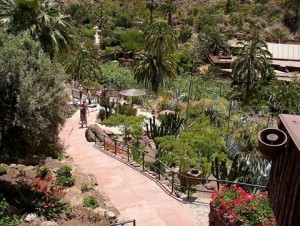 Botanical Gardens in Palmitos Park in Gran Canaria